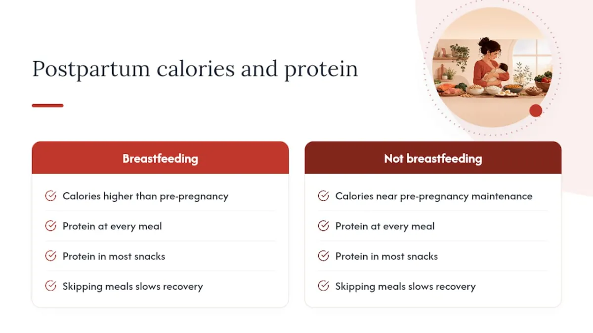 Diagram comparing postpartum calorie and protein needs
